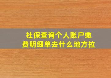 社保查询个人账户缴费明细单去什么地方拉