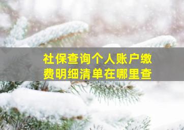 社保查询个人账户缴费明细清单在哪里查