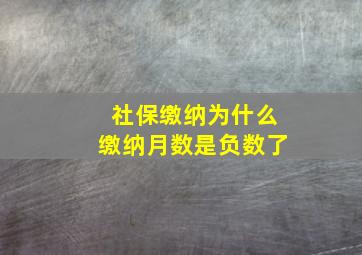 社保缴纳为什么缴纳月数是负数了