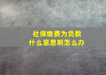 社保缴费为负数什么意思啊怎么办