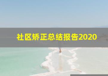 社区矫正总结报告2020