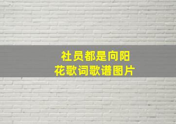 社员都是向阳花歌词歌谱图片