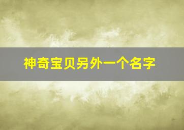 神奇宝贝另外一个名字