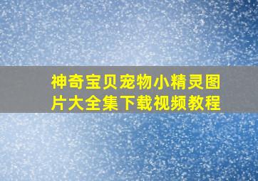 神奇宝贝宠物小精灵图片大全集下载视频教程