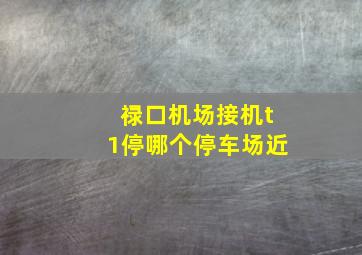 禄口机场接机t1停哪个停车场近