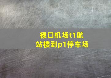 禄口机场t1航站楼到p1停车场