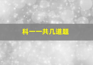 科一一共几道题