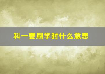 科一要刷学时什么意思