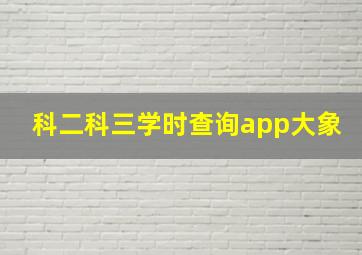 科二科三学时查询app大象