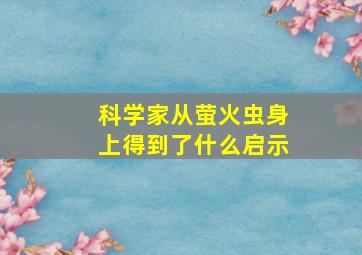 科学家从萤火虫身上得到了什么启示