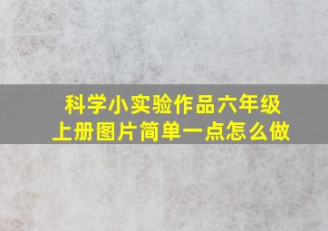 科学小实验作品六年级上册图片简单一点怎么做