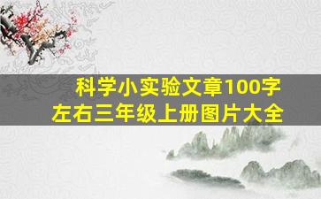 科学小实验文章100字左右三年级上册图片大全