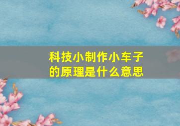 科技小制作小车子的原理是什么意思