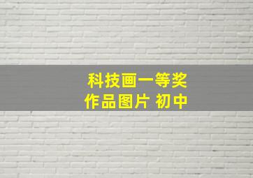 科技画一等奖作品图片 初中