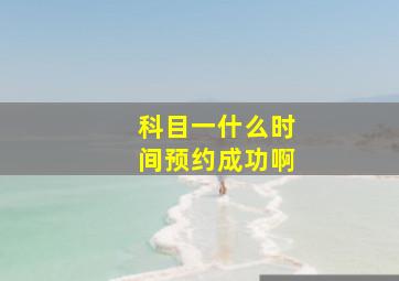 科目一什么时间预约成功啊