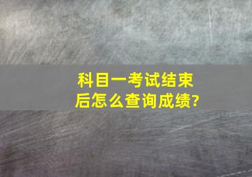 科目一考试结束后怎么查询成绩?