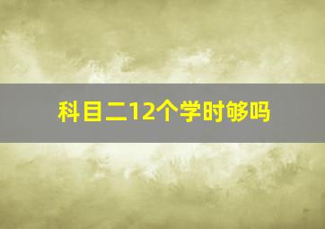 科目二12个学时够吗