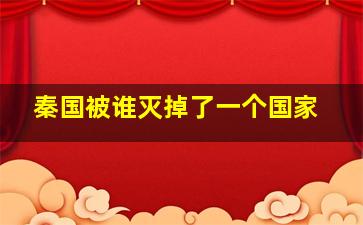 秦国被谁灭掉了一个国家