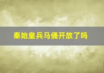 秦始皇兵马俑开放了吗