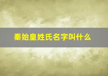 秦始皇姓氏名字叫什么