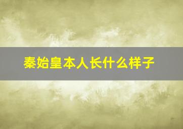 秦始皇本人长什么样子