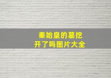 秦始皇的墓挖开了吗图片大全