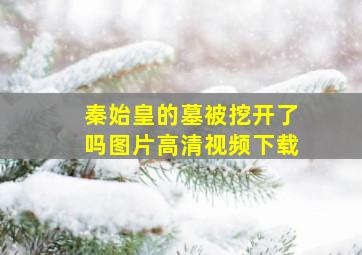 秦始皇的墓被挖开了吗图片高清视频下载