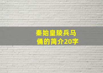 秦始皇陵兵马俑的简介20字