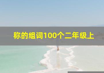 称的组词100个二年级上