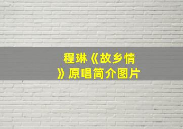 程琳《故乡情》原唱简介图片