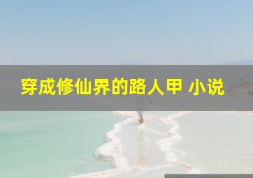 穿成修仙界的路人甲 小说