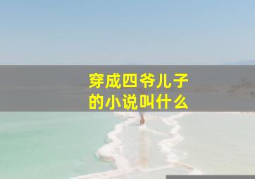 穿成四爷儿子的小说叫什么