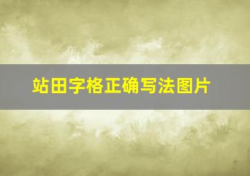 站田字格正确写法图片