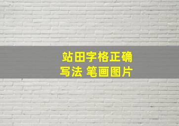 站田字格正确写法 笔画图片