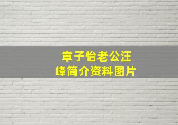 章子怡老公汪峰简介资料图片