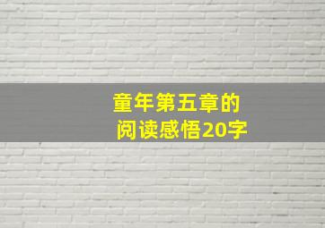 童年第五章的阅读感悟20字