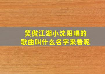 笑傲江湖小沈阳唱的歌曲叫什么名字来着呢