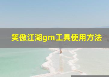 笑傲江湖gm工具使用方法