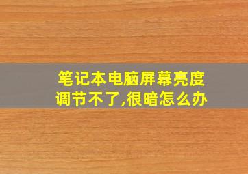 笔记本电脑屏幕亮度调节不了,很暗怎么办