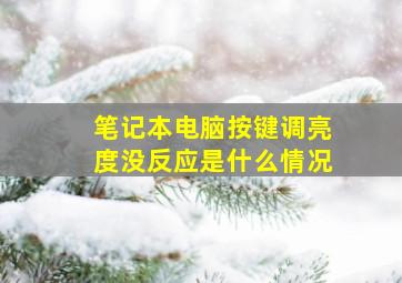 笔记本电脑按键调亮度没反应是什么情况