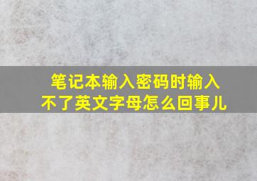 笔记本输入密码时输入不了英文字母怎么回事儿