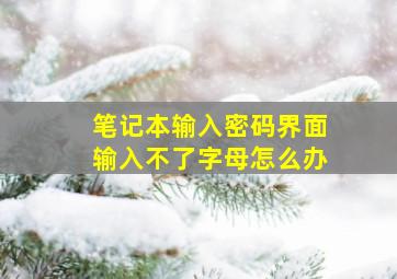 笔记本输入密码界面输入不了字母怎么办