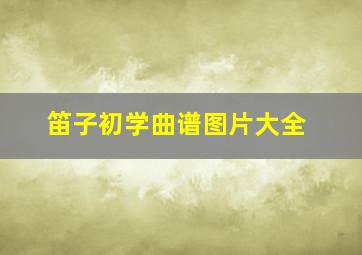 笛子初学曲谱图片大全