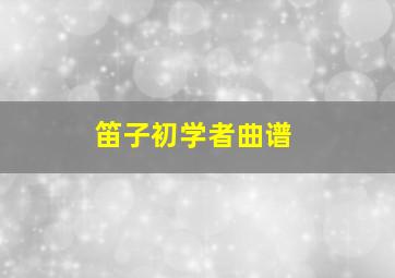 笛子初学者曲谱