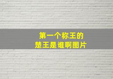 第一个称王的楚王是谁啊图片