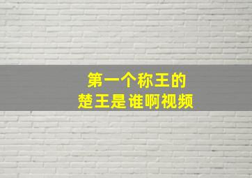 第一个称王的楚王是谁啊视频