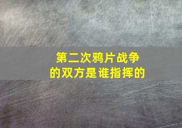 第二次鸦片战争的双方是谁指挥的