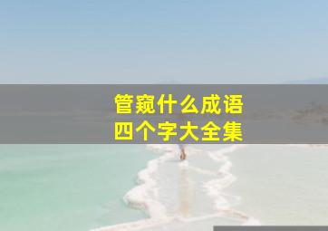 管窥什么成语四个字大全集