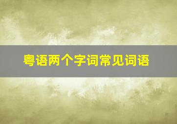 粤语两个字词常见词语