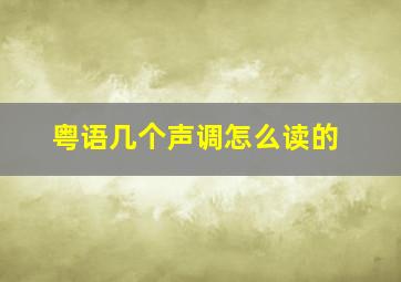 粤语几个声调怎么读的